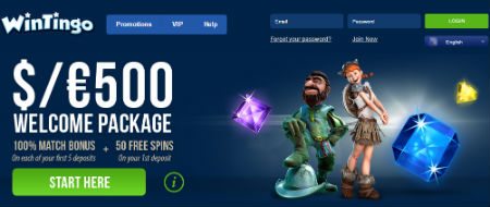 100% Match Bonus